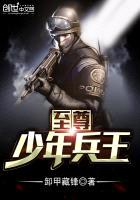 至尊少年兵王封面