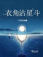 衣角沾星斗封面