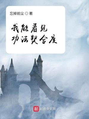 我能看见功法契合度封面